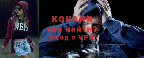 соль ск Михайлов