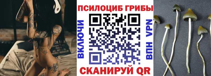 Псилоцибиновые грибы Cubensis блэк спрут зеркало Ржев